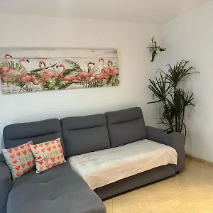 Апартаменты Parrot's House, Льорет-де-Мар
